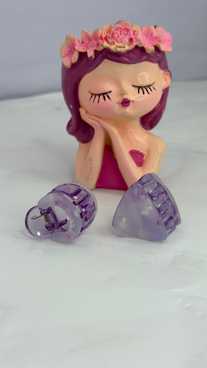Mini Hair Claw Clips – Set of 2